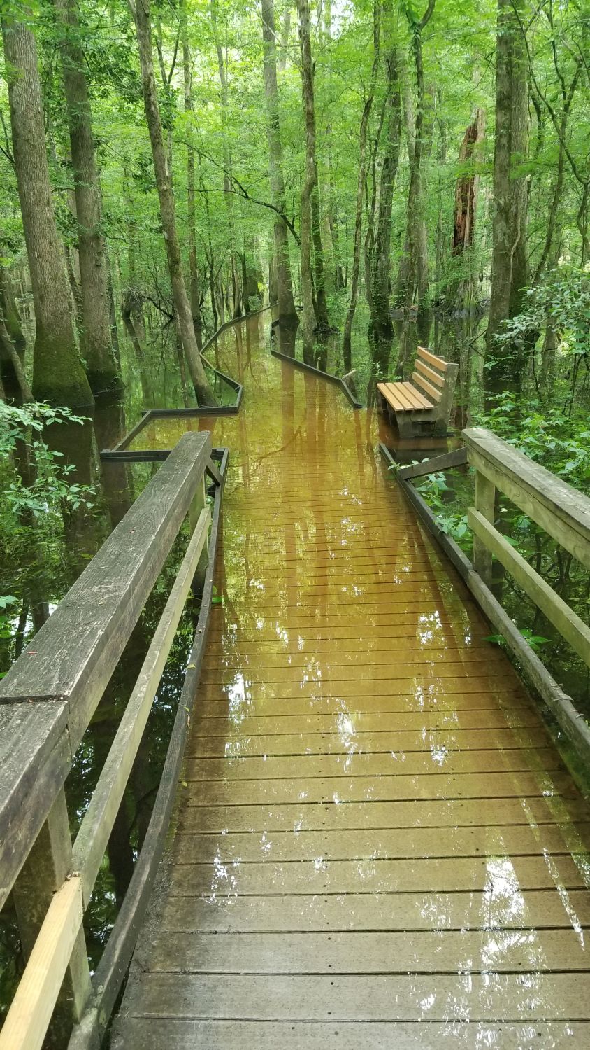 Congaree NP 